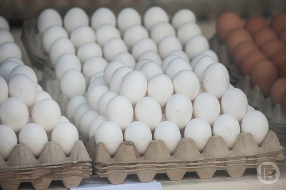 328 миллионов яиц и 186 тысяч тонн овощей продали в Волгоградской области