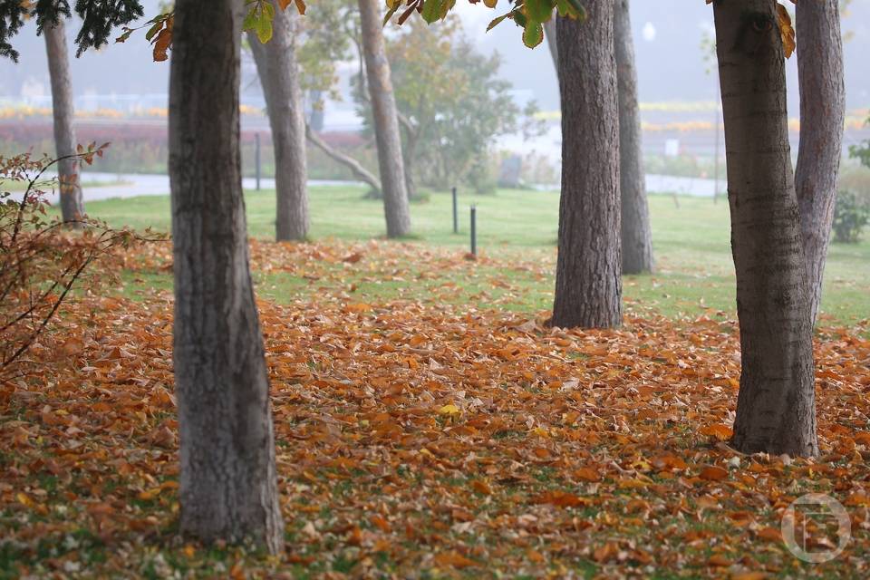 13 октября в Волгограде ожидаются холодный сильный ветер и похолодание до 0º