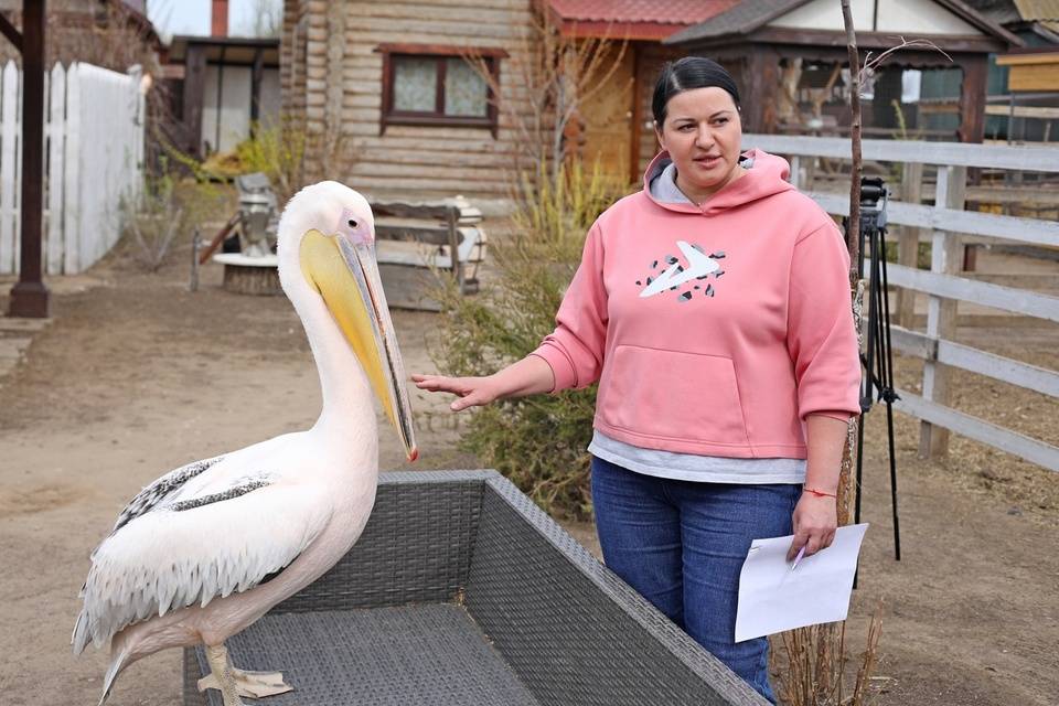 Ферма экзотических птиц организовала бесплатные экскурсии для семей мобилизованных волгоградцев