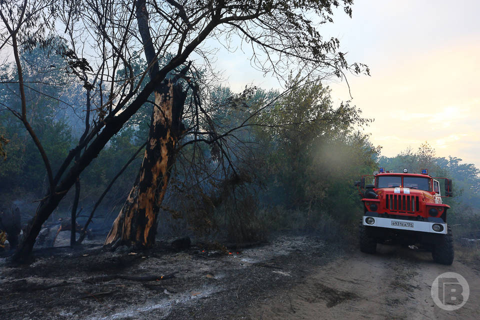 В Волгоградской области лесным пожарам противостоять поможет спецтехника