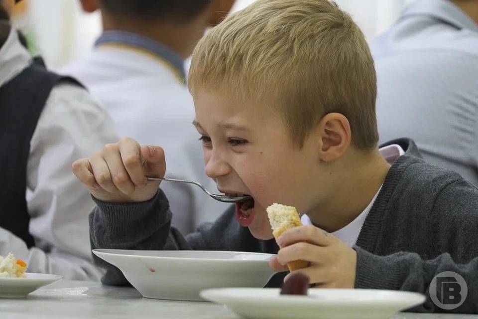 Бесплатным питанием в Волгоградской области обеспечат школьников-беженцев и пострадавших в ЧС