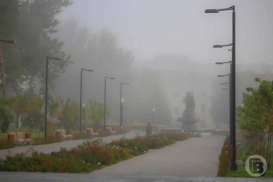 5 ноября в Волгоград придут туманы, дожди и мокрый снег