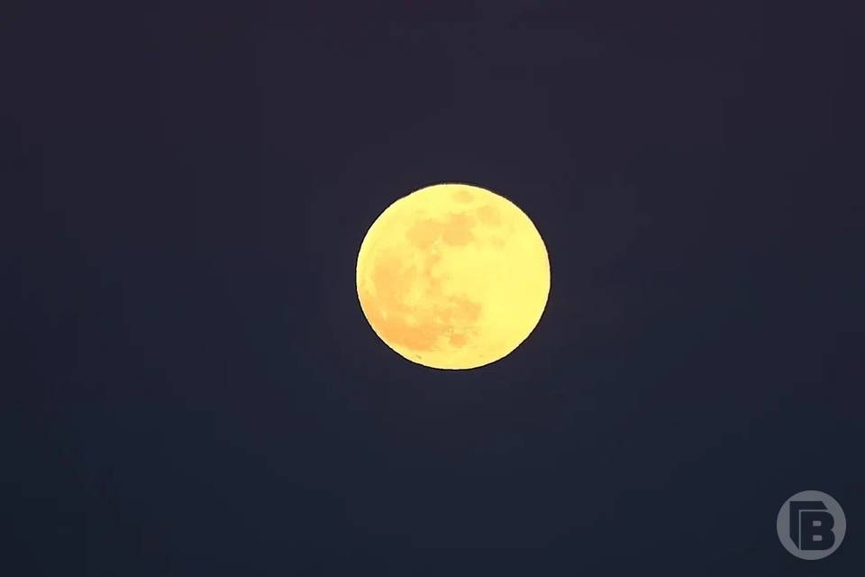 Волгоградцам сообщили о последнем в 2022 году лунном затмении 8 ноября