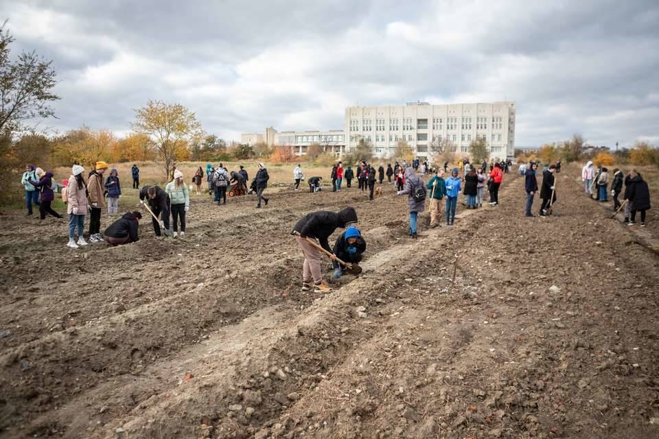 Студенты Волгоградского государственного университета высадили дубовую аллею