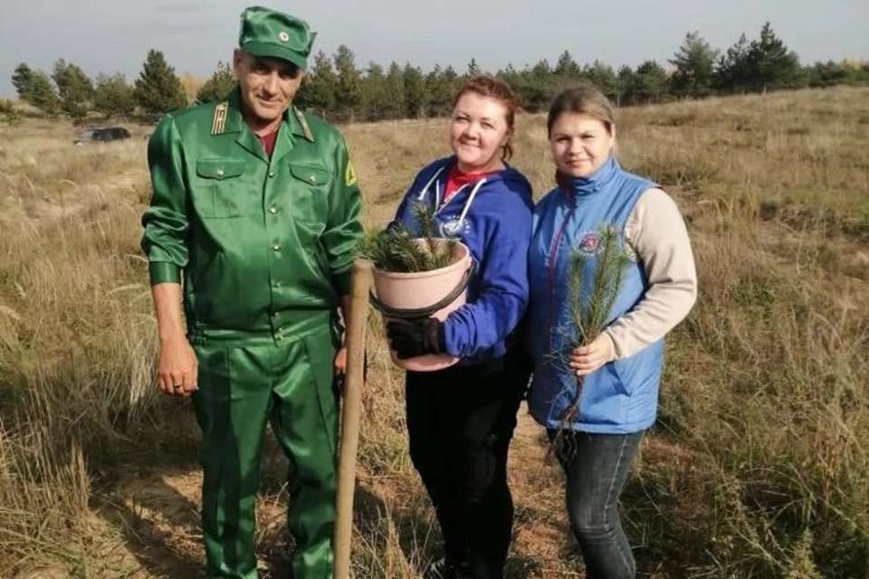 Железнодорожники высадили более 2,2 тысячи деревьев в Волгоградской области