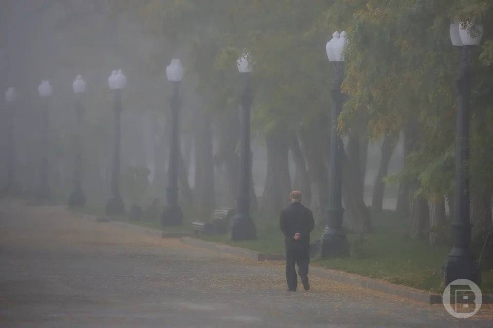 Гидрометцентр предупреждает о туманах в Волгоградской области