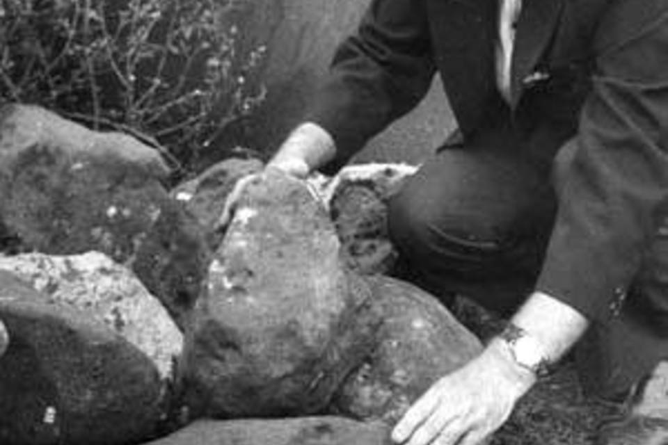 Царевский метеорит выставлен в Волгоградском областном краеведческом музее