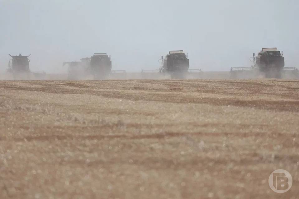 Под Волгоградом уголовник из-за ненависти к аграриям сжег 24 тонны сена