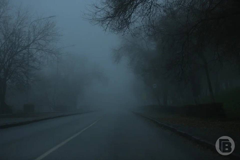 До 15 декабря в Волгоградской области ожидаются туман, штормовой ветер и гололед