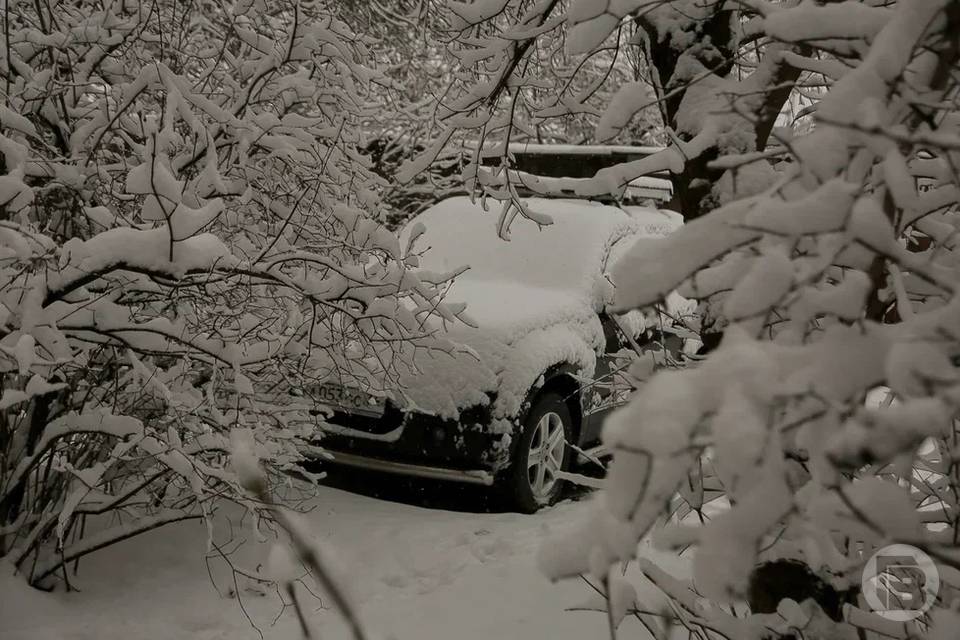 Сильный снег с метелью ожидаются в Волгоградской области 14 декабря