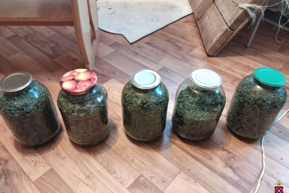 Пять трехлитровых банок: почти килограмм марихуаны нашли у волгоградца