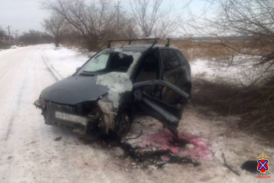 В Волгограде автомобиль врезался в дерево на улице Автомобилистов