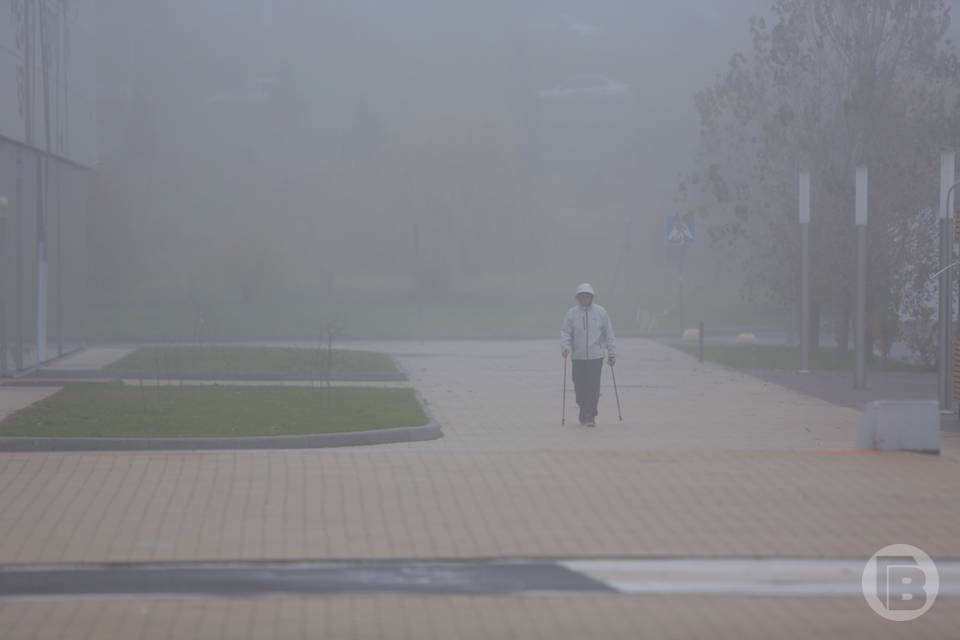 На Волгоград 23 декабря опустился плотный густой туман