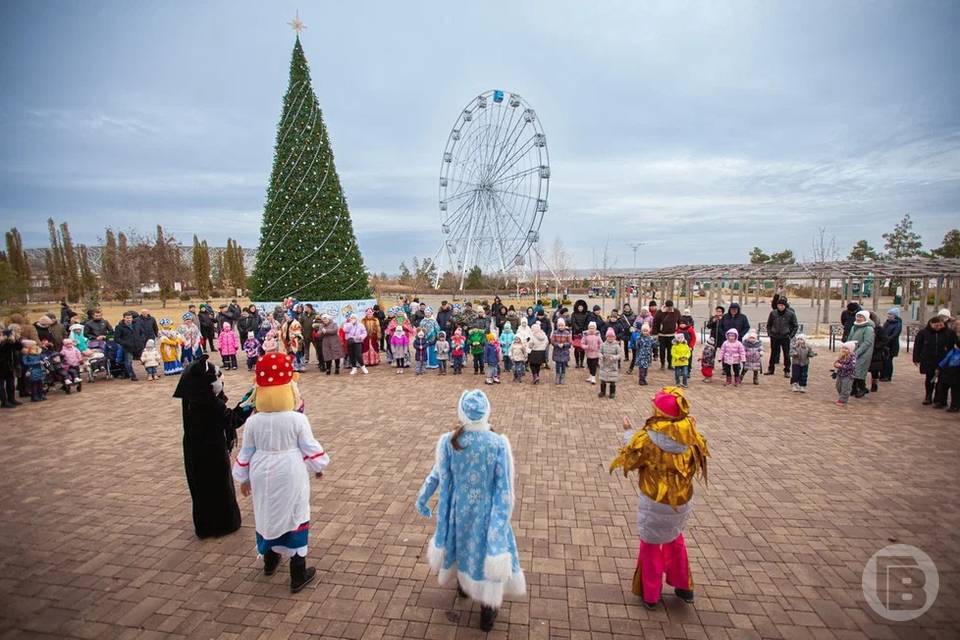 Волгоградцев в канун Рождества ждут у главной елки города в ЦПКиО