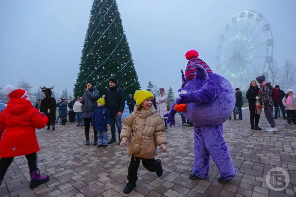 В Волгограде детей приглашают отпраздновать Рождество у главной елки