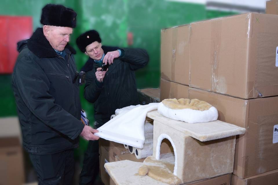 В Волгограде проверили 8 тонн игровых кошачьих домиков из Тбилиси