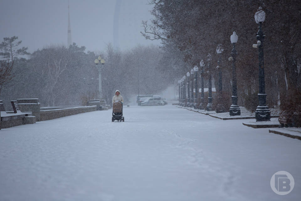 Туман и мороз ожидаются в Волгоградской области 10 февраля