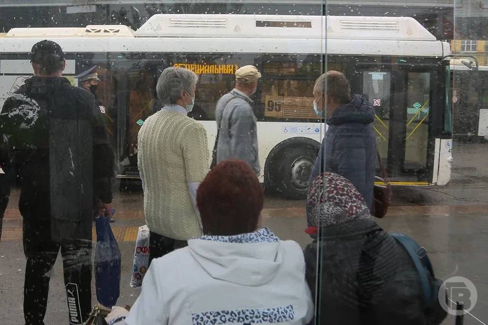 В Волгограде с 1 марта на семь рублей временно подешевеет проезд в транспорте