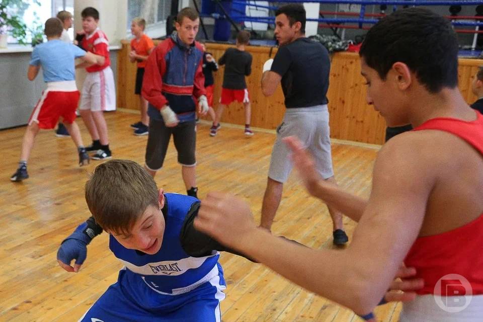 В Волгоградской области состоятся соревнования по борьбе в честь участников СВО