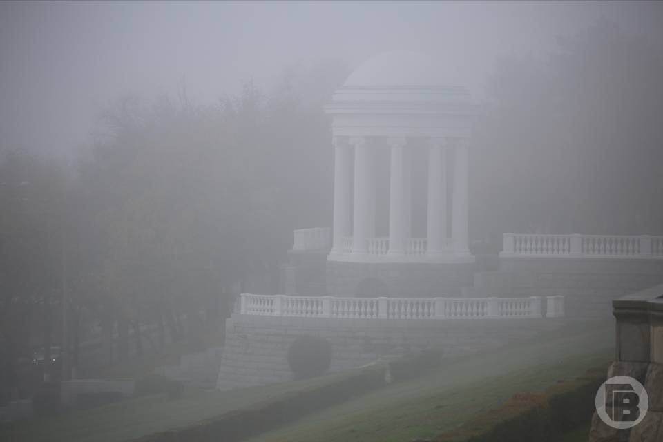 Волгоградцев предупредили о тумане 14 марта