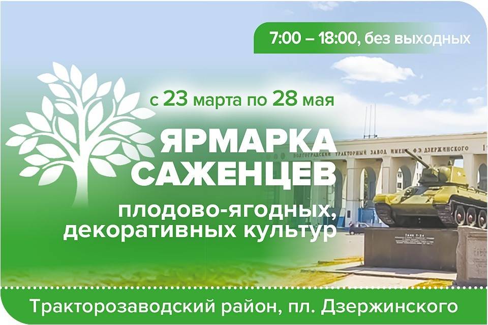 В Волгограде начала работать ярмарка саженцев, цветов и  деревьев