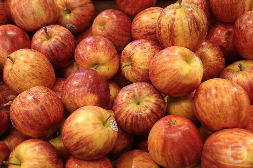 В Волгоградскую область завезли более 18 тонн яблок из Грузии