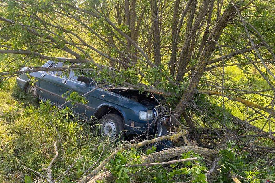 Под Волгоградом водитель раритетной «Волги» врезался в дерево