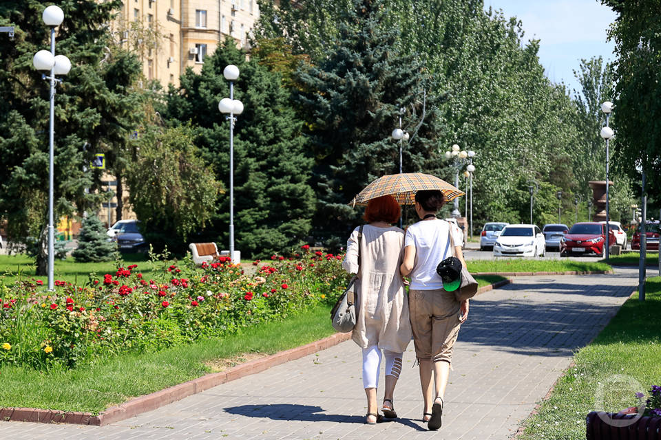 В Волгограде жара раскочегарится до +42º в тени