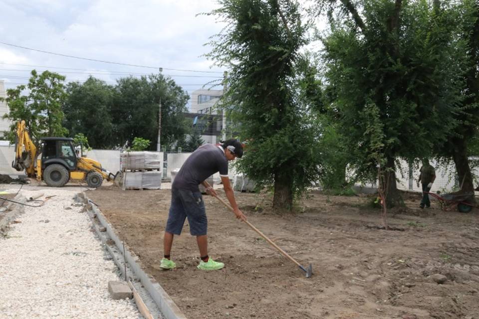 В Волгограде Сурский сквер готовят к озеленению