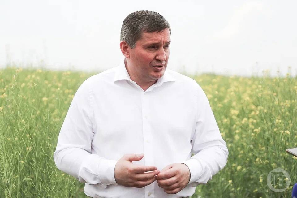 В Волгоградской области собрали уже 3 млн тонн зерна