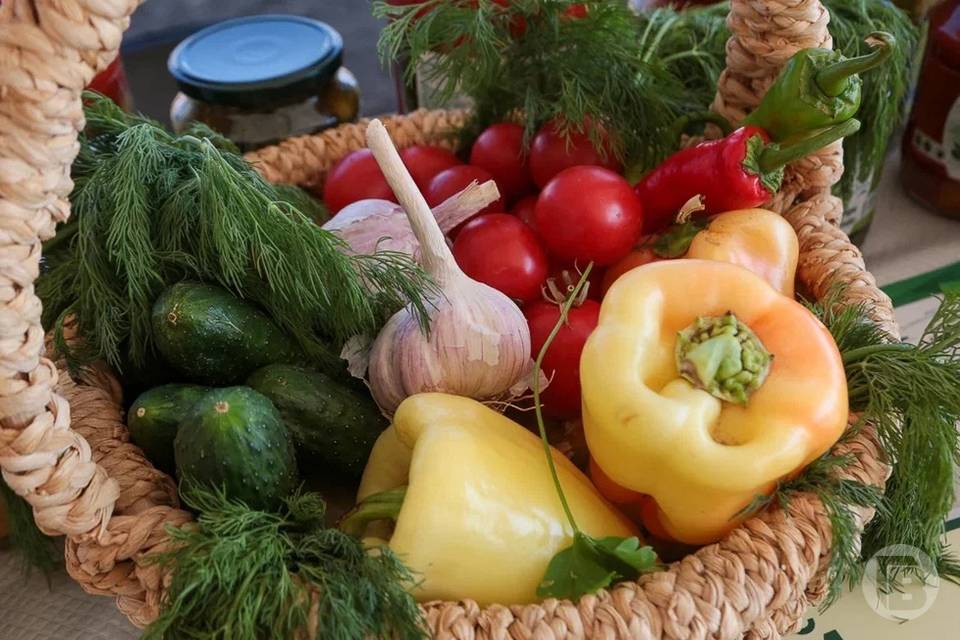 Волгоградцам назвали полезные овощи для употребления в августе