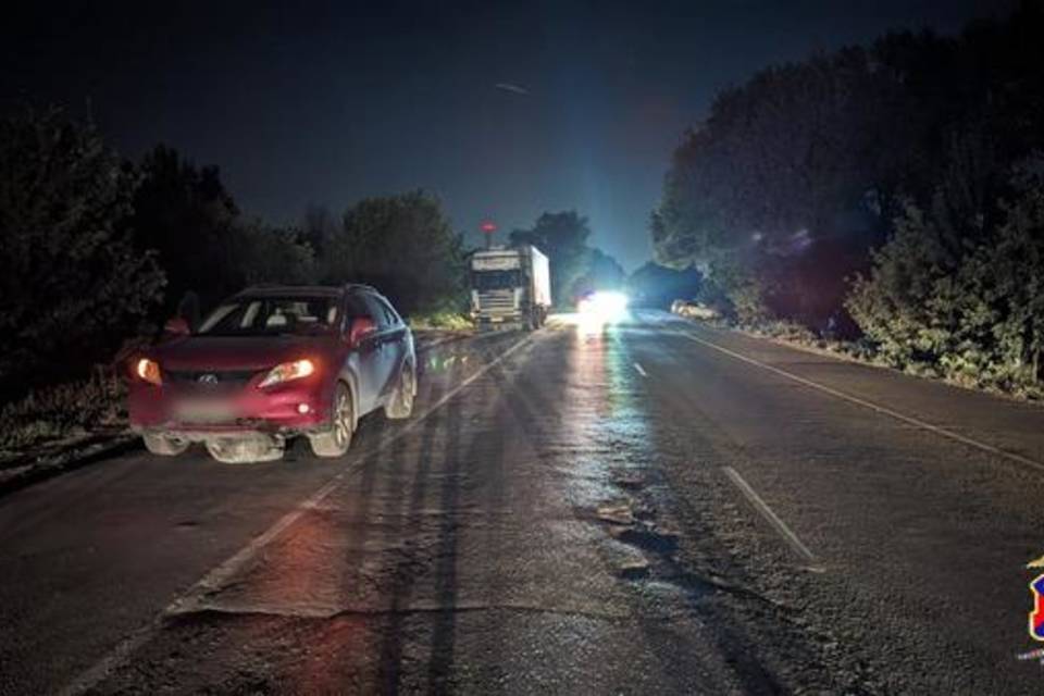 Массовая авария с пятью машинами произошла на трассе в Волгоградской области