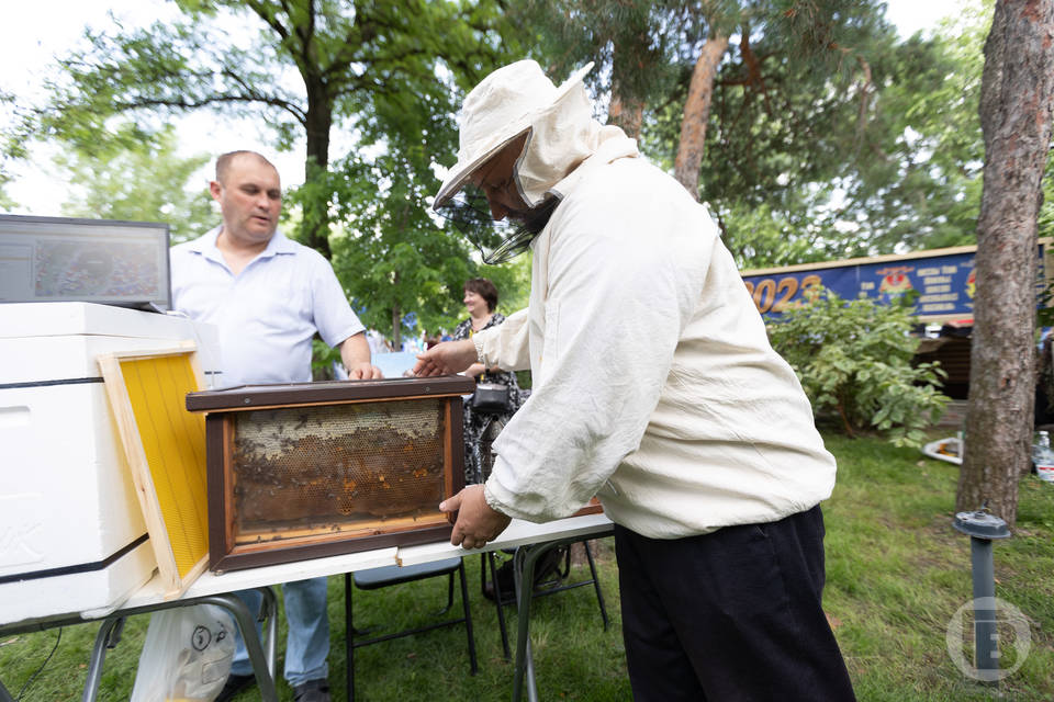 День пчеловода отмечают в Волгоградской области