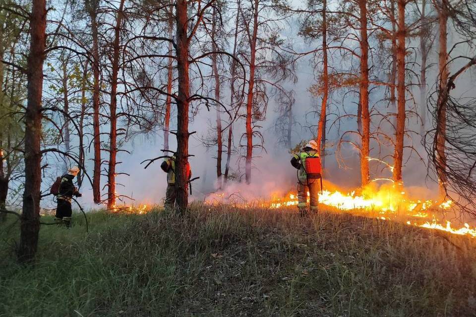 Крупный ландшафтный пожар полыхал под Волгоградом