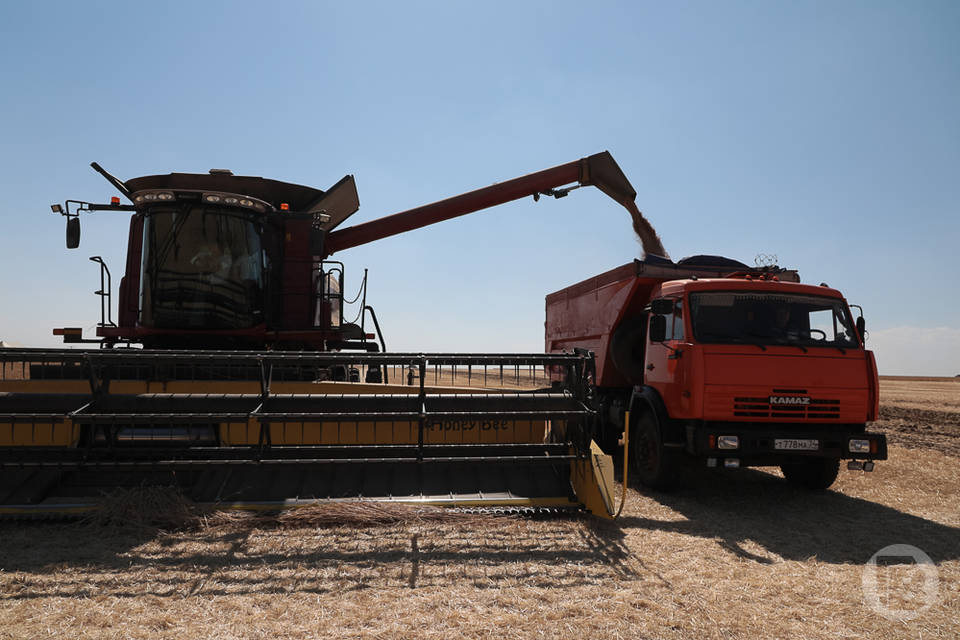 5,6 млн тонн зерновых уже собрано хлеборобами Волгоградской области