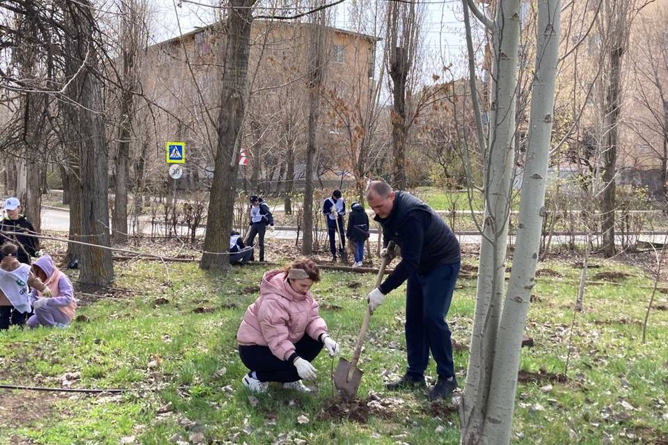В Волжском Волгоградской области сформирован реестр растений, которые можно использовать для озеленения