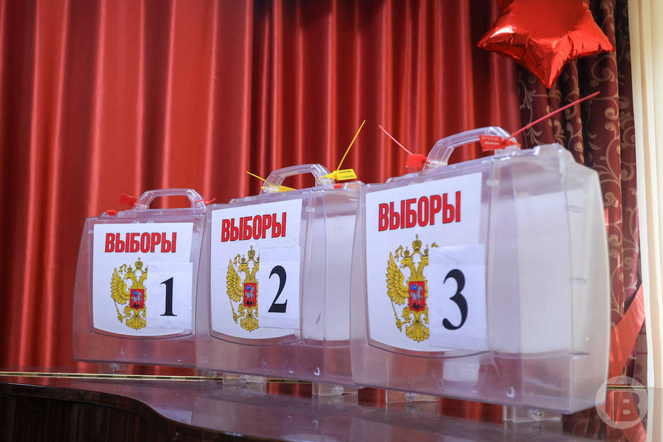 В Волгоградской области 8 сентября начались выборы в органы местного самоуправления