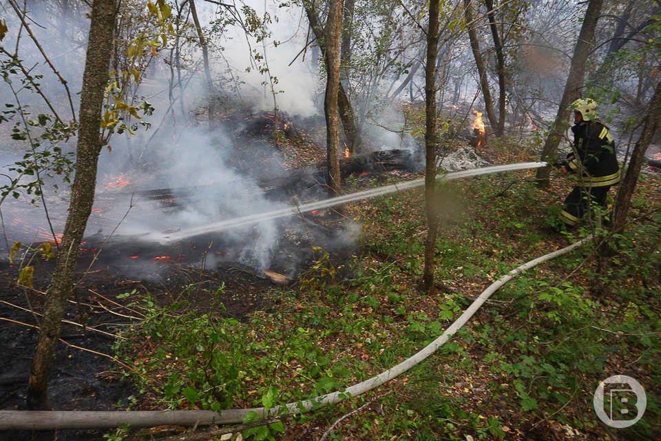 20 и 21 сентября могут вспыхнуть леса в Волгоградской области