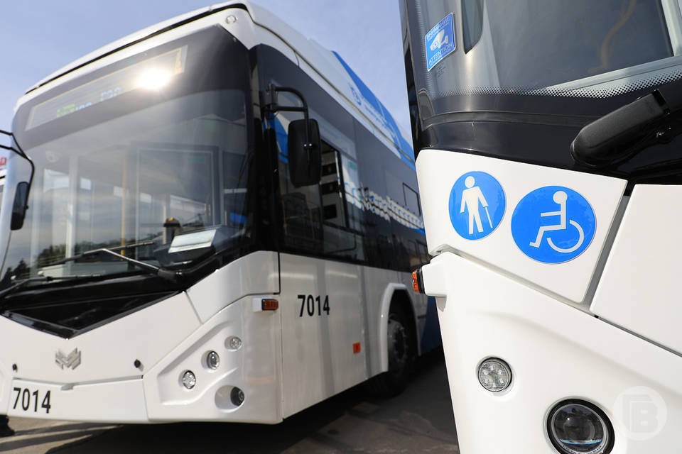 В Волгограде ищут перевозчика на 6 автобусных маршрутов