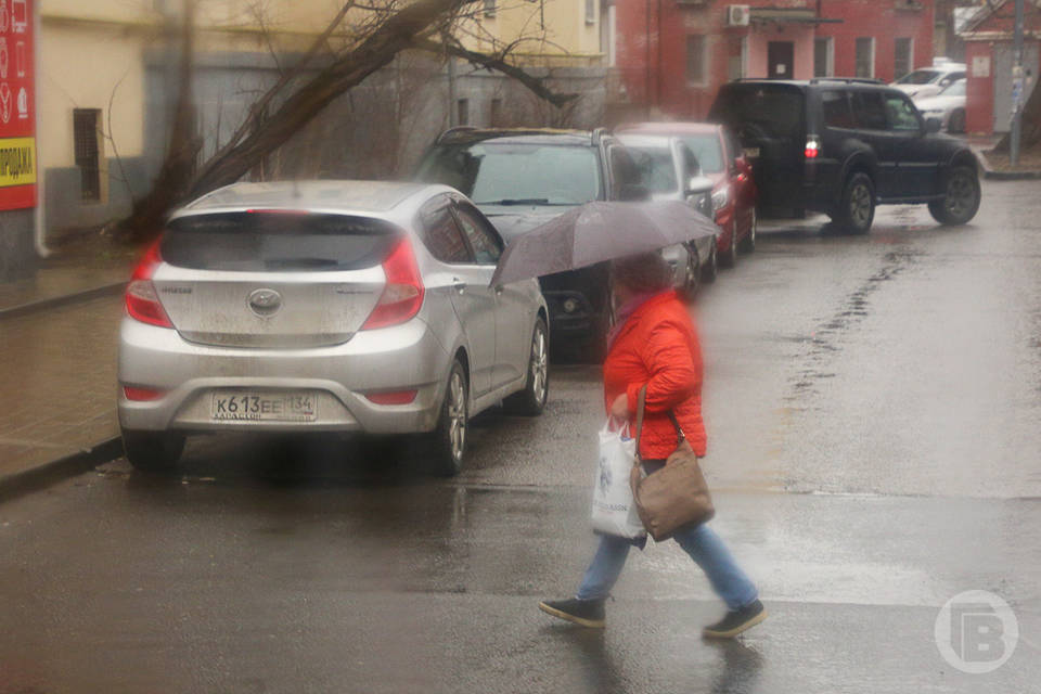 Ливни, грозы, ухудшение видимости, похолодание накроют Волгоградскую область на три дня