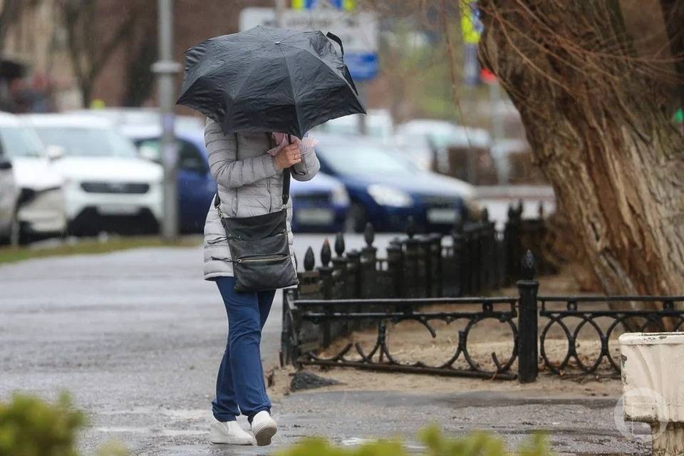 Дожди будут заливать Волгоградский регион 8 октября