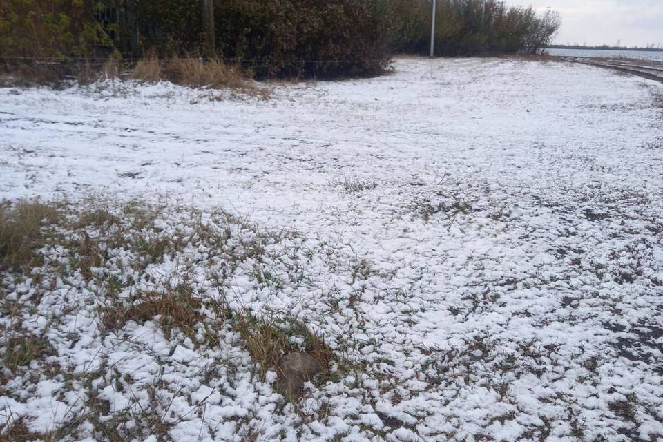 Снег выпал в Урюпинске Волгоградской области