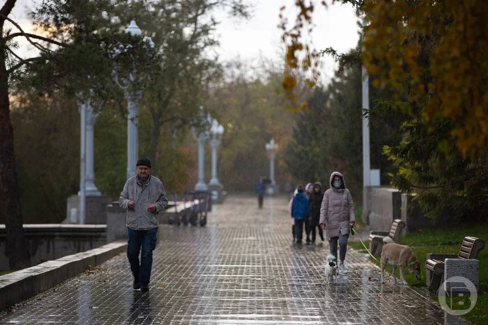 Дожди и похолодание накроют Волгоградскую область на новой неделе