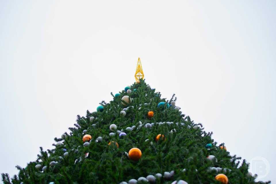 В Советском районе Волгограда выбрали новое место для новогодней елки