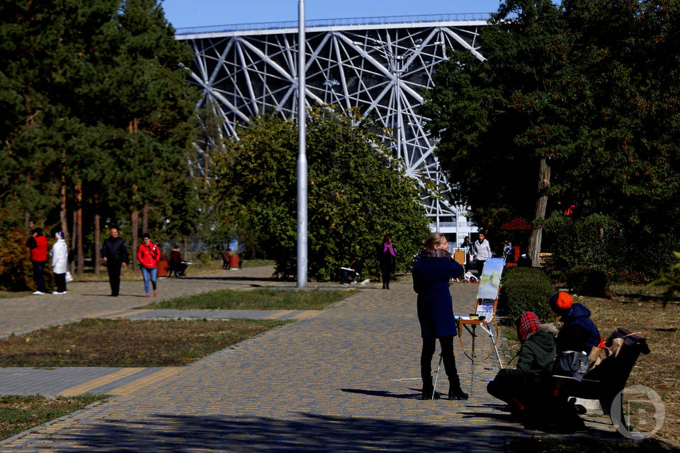 В ЦПКиО Волгограда футболисты и медийные персоны посадят именные деревья