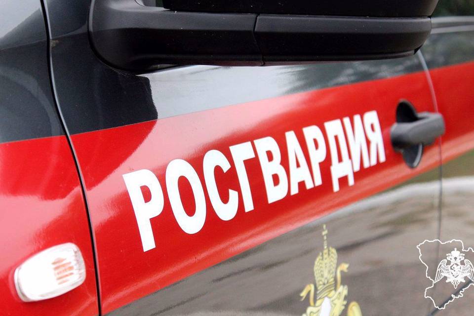 В Волгоградской области росгвардейцы задержали алиментщицу и вора