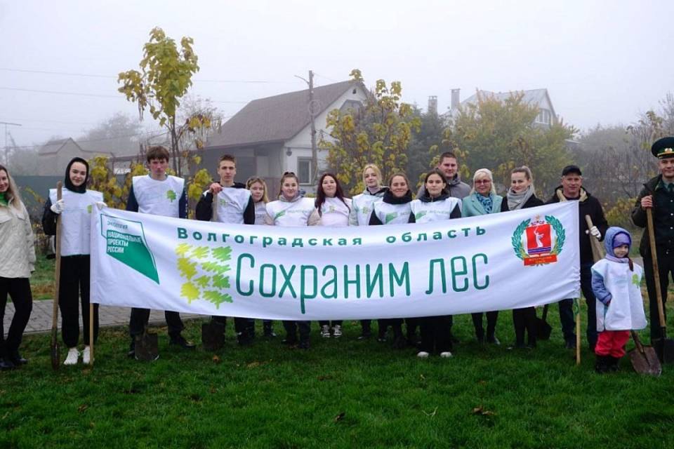 Волгоградцы высадили 140 тысяч деревьев в рамках акции «Сохраним лес»