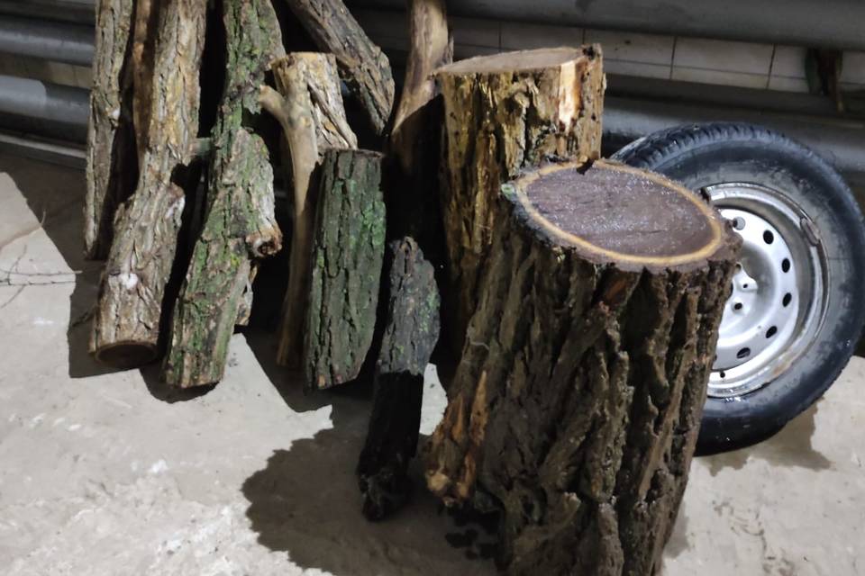 В Волгограде в канализационном коллекторе нашли огромные ветки, пень и колесо
