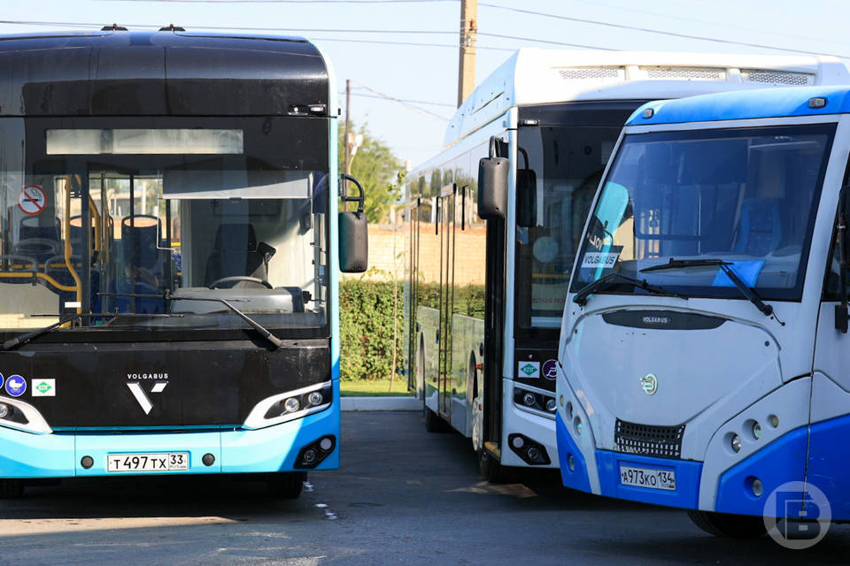 Новый автобусный маршрут появится в Волгограде