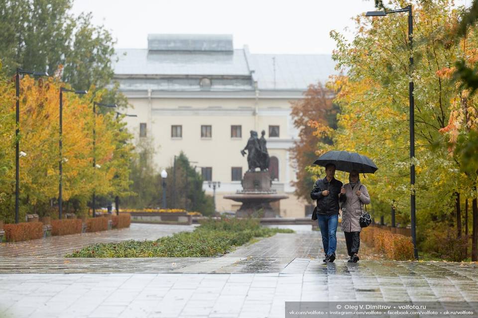 Синоптики рассказали о погоде в Волгограде 12 ноября